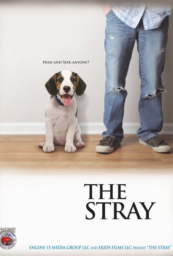 The Stray Full Movie